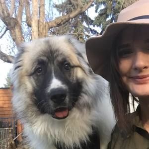 Meet your Posher, Rachel